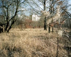 ahg_tr_0304.jpg
