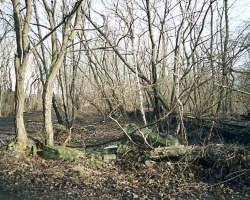 anhalterp_d01.jpg