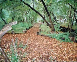 benwargin01.jpg benwargin01.jpg