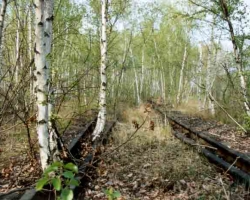 birken2002_01.jpg