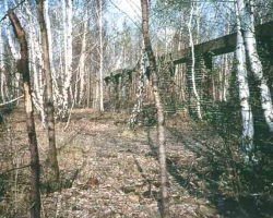 birken91_02.jpg