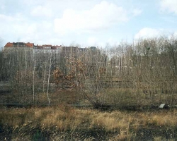 flaschenhals_d.jpg