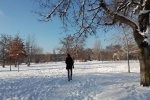 img_20141229_122637