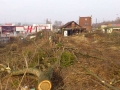 20160228-Baummassaker_31_Nordpanorama-p