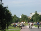 img_1205.jpg