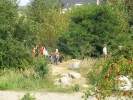 img_1234.jpg