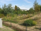 img_1267.jpg