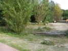 img_1276.jpg