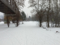 IMG_20170108_115224321