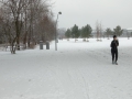 IMG_20170108_115301156