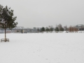 IMG_20170108_115419568