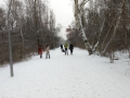 IMG_20170108_120618308