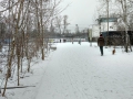 IMG_20170108_120701250_HDR