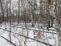 IMG_20170108_121635117