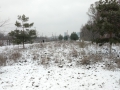 IMG_20170108_121751893