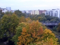 P1020803